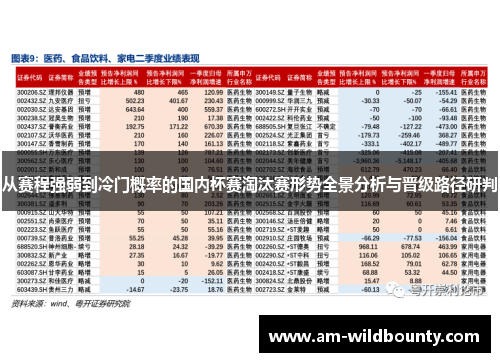 从赛程强弱到冷门概率的国内杯赛淘汰赛形势全景分析与晋级路径研判 从赛程强弱到冷门概率的国内杯赛淘汰赛形势全景分析与晋级路径研判